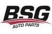 Логотип BSG