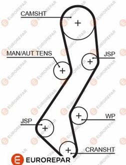 1633136880 Eurorepar Ремень ГРМ