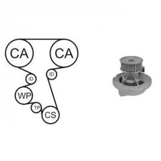 WPK-164201 AIRTEX Водяной насос + комплект зубчатого ремня