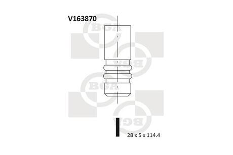 V163870 BGA Всмоктуючий клапан