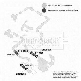 BTH1101 BORG & BECK Шлангопровод