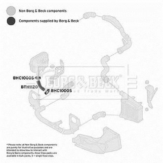 BTH1120 BORG & BECK Шлангопровод