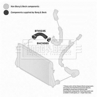 BTH1245 BORG & BECK Шлангопровод