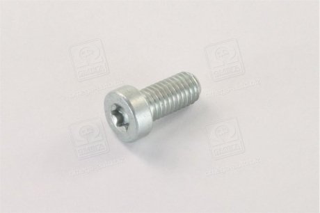 F 01M 100 684 BOSCH Винт с цил.головкой торкс тнвд cp (пр-во bosch)