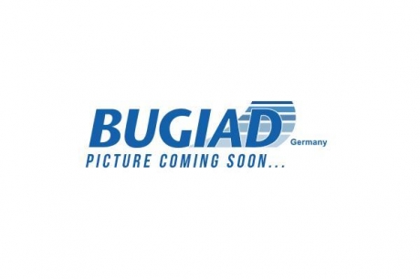 BSP24689 BUGIAD Цапфа перед. права SEAT MII SKODA CITIGO VW UP 08.11-