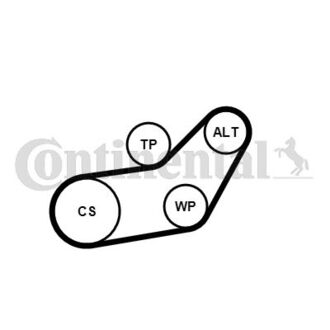 6PK1045 WP1 Contitech Водяной насос + комплект ручейковых ремней