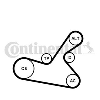 6PK1125WP1 Contitech Комплект (ремень+ролики+помпа)