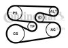 Комплект ремня приводного bmw 1.6d-3.0d 09- 6PK1698K1