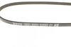 3PK856EE DAYCO Пас привідний с довжиною кола понад 60см, але не більш як 180см (фото 2)