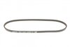 3PK856EE DAYCO Пас привідний с довжиною кола понад 60см, але не більш як 180см (фото 3)
