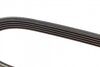 5PK1210 DAYCO Пас привідний с довжиною кола понад 60см, але не більш як 180см (фото 3)