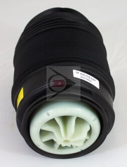 Dunlop DAS10055