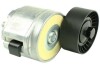 Натяжник паска Fiat, Opel 1.6D Multijet-2.0D Multijet 01.04- FT44617