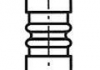 Клапан головки блоку циліндрів R4296/R