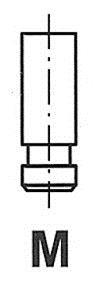 R4441/RCR FRECCIA Клапан головки блоку циліндрів
