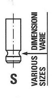 R6157/S FRECCIA Клапан головки блоку циліндрів