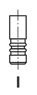 R6198/BM FRECCIA Клапан головки блоку циліндрів