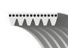 6PK691-683SF Gates Пас привідний с довжиною кола понад 60см, але не більш як 180см (фото 2)