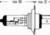 8GJ 002 525-251 HELLA Ліхтар накалу, основная фара, Ліхтар накалу, основная фара (фото 2)