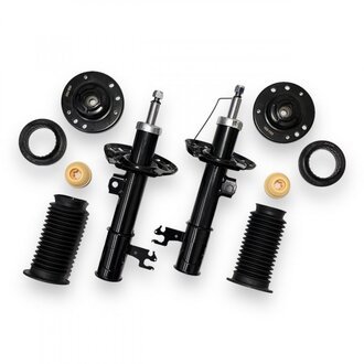 INF20.0026KIT INA-FOR Комплект передних газомасляных амортизаторов Opel Vectra C 2002---