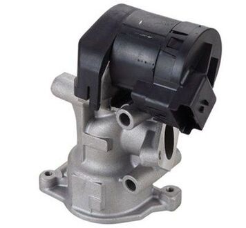 571822112098 MAGNETI MARELLI Клапан EGR