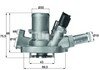 Термостат системи охолодження TI15180