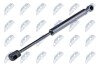 NTY HOOD GAS SPRING AERE047