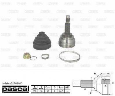 G11080PC PASCAL Шарнир привідного валу