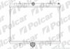 Радиатор охолодження Citroen Jumpy/Peugeot Expert 2.0Hdi 03- 239708A1