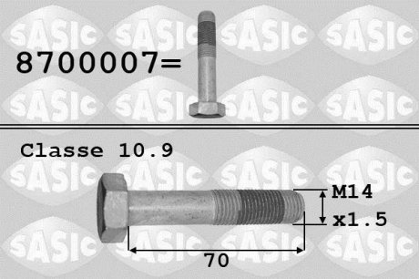 8700007 SASIC Болт шестерні колінчастого вала M14X1,5X79 CITROEN