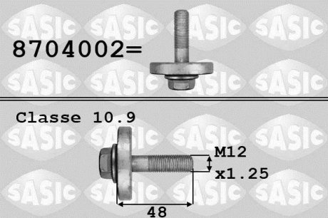 8704002 SASIC Болт шкива коленвала, 1.4-1.6 16V, 1.5dCI Kangoo, Clio, Megane 02-