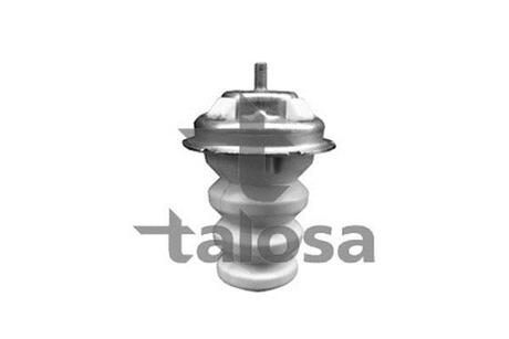 63-05489 TALOSA Вiдбiйник зад. ресори Fiat Doblo 05- Діаметр чашки 100 мм висота 162мм