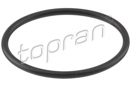 101117 TOPRAN / HANS PRIES Прокладка (термостат)
