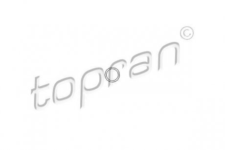 206 528 TOPRAN / HANS PRIES Прокладка болтов клапанной крышки
