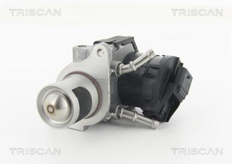 881311001 TRISCAN Клапан AGR BMW 1 E81/F20, 3 E90/F30, 5 F10, 5 E60, 3 F25, X5 E70 2.0d/3.0d 10.07-