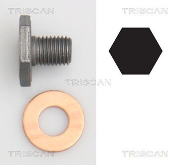 95001010 TRISCAN (с шайбою) Пробка масляного піддона M10x1.25/ L 13