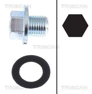 95001013 TRISCAN (с прокладкою) Пробка масляного піддона M12x1,25 L 13