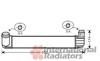 Интеркулер RENAULT MEGANE3 20i/19dCi MT 08- (вир-во Van Wezel) 43004411