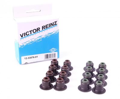 12-33876-01 VICTOR REINZ Комплект сальників клапанів