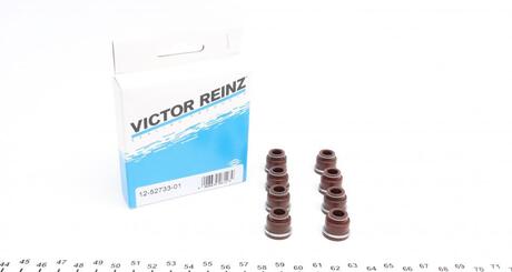 12-52733-01 VICTOR REINZ Комплект сальників клапанів