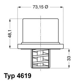 461975 WAHLER Термостат